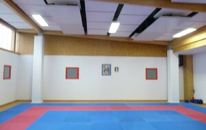 686e31243f758_Dojo.JPG